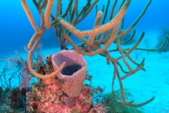 DCIM\101GOPRO\GOPR1330.JPG