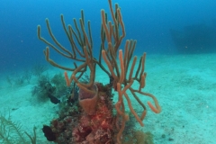 DCIM\101GOPRO\GOPR1329.JPG