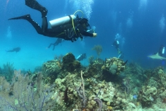 DCIM\101GOPRO\GOPR1407.JPG