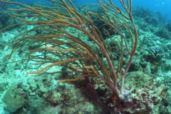 DCIM\101GOPRO\GOPR1396.JPG