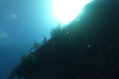 DCIM\100GOPRO\GOPR1967.JPG DCIM\100GOPRO\GOPR1967.JPG