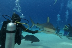 DCIM\100GOPRO\GOPR2145.JPG