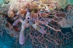 DCIM\100GOPRO\GOPR3076.JPG