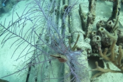 DCIM\100GOPRO\GOPR3097.JPG