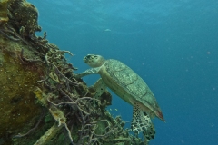 DCIM\100GOPRO\GOPR3540.JPG DCIM\100GOPRO\GOPR3540.JPG