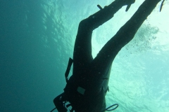 DCIM\100GOPRO\GOPR3683.JPG