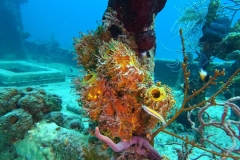 DCIM\100GOPRO\GOPR3756.JPG