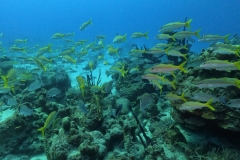 DCIM\100GOPRO\GOPR3884.JPG
