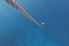 DCIM\100GOPRO\GOPR3931.JPG