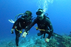 DCIM\100GOPRO\GOPR3864.JPG