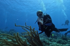 DCIM\100GOPRO\GOPR4002.JPG