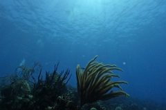 DCIM\100GOPRO\GOPR3989.JPG