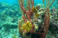 DCIM\100GOPRO\GOPR5017.JPG
