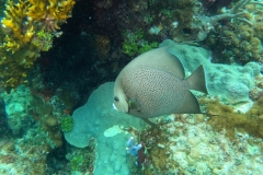 DCIM\100GOPRO\GOPR5025.JPG