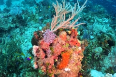 DCIM\100GOPRO\GOPR5905.JPG