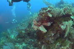 DCIM\100GOPRO\GOPR5915.JPG