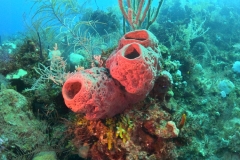 DCIM\100GOPRO\GOPR5920.JPG