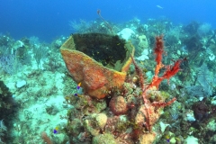 DCIM\100GOPRO\GOPR5990.JPG