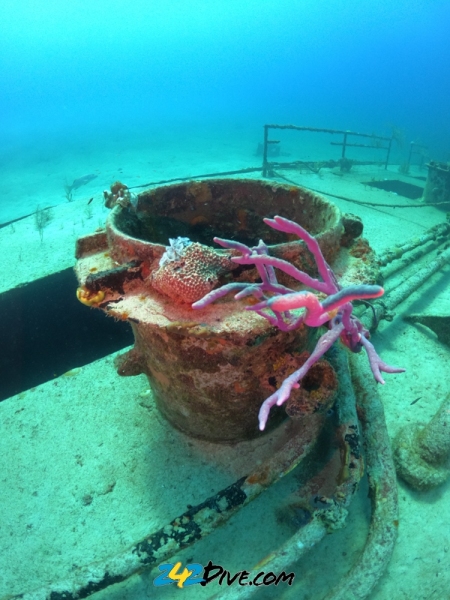 DCIM\100GOPRO\GOPR6056.JPG