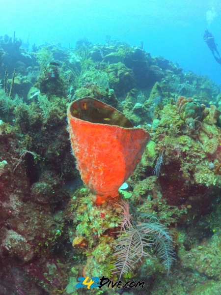 DCIM\100GOPRO\GOPR6219.JPG