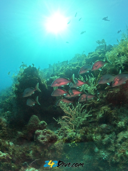 DCIM\100GOPRO\GOPR6234.JPG