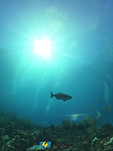 DCIM\100GOPRO\GOPR6239.JPG
