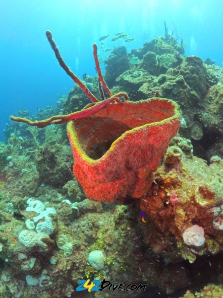 DCIM\100GOPRO\GOPR6245.JPG