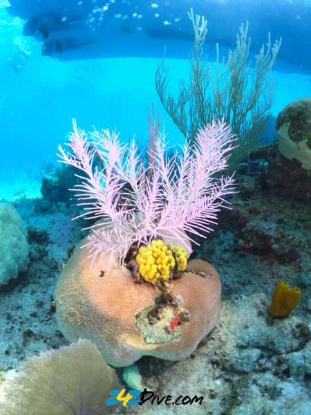DCIM\100GOPRO\GOPR6286.JPG