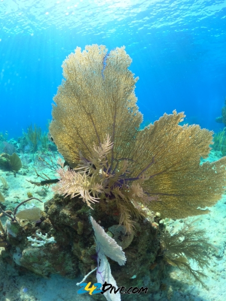 DCIM\100GOPRO\GOPR6289.JPG
