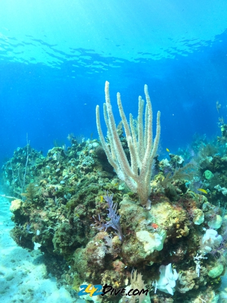 DCIM\100GOPRO\GOPR6296.JPG