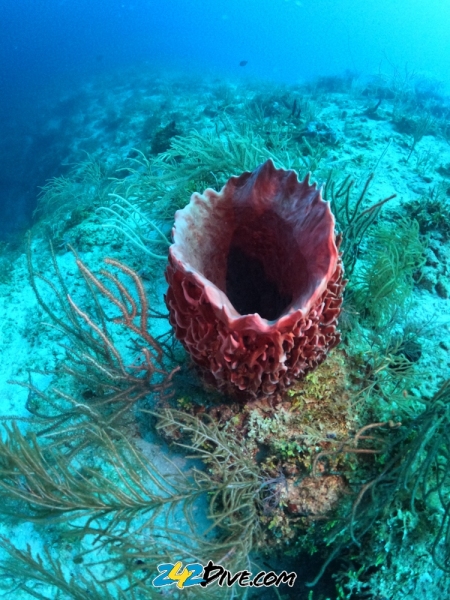 DCIM\100GOPRO\GOPR6395.JPG