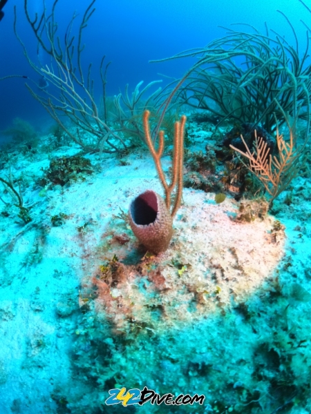DCIM\100GOPRO\GOPR6406.JPG