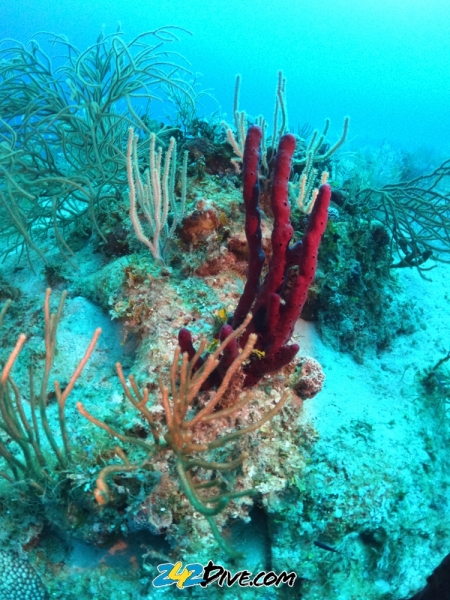 DCIM\100GOPRO\GOPR6407.JPG