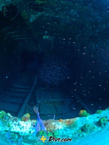 DCIM\100GOPRO\GOPR6417.JPG