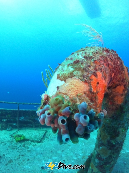 DCIM\100GOPRO\GOPR6421.JPG