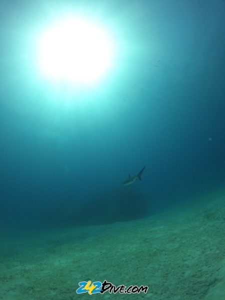 DCIM\100GOPRO\GOPR6497.JPG