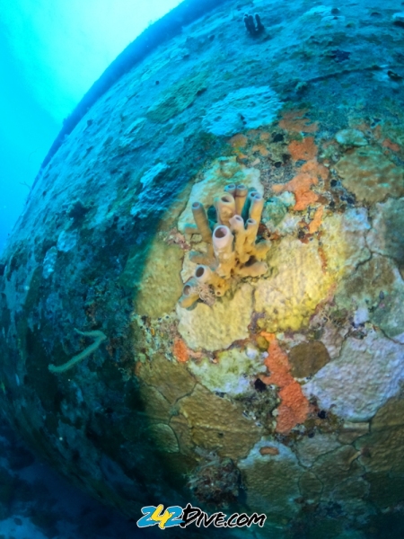 DCIM\100GOPRO\GOPR6560.JPG