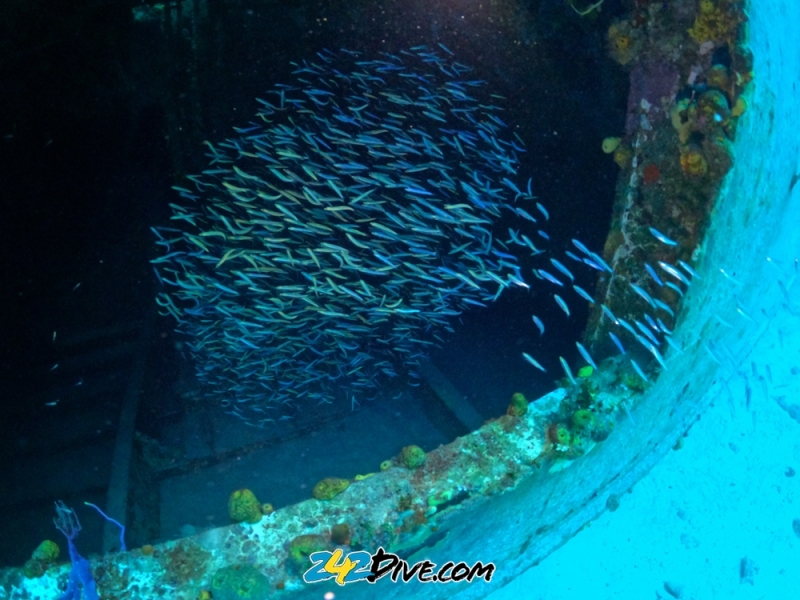 DCIM\100GOPRO\GOPR6568.JPG