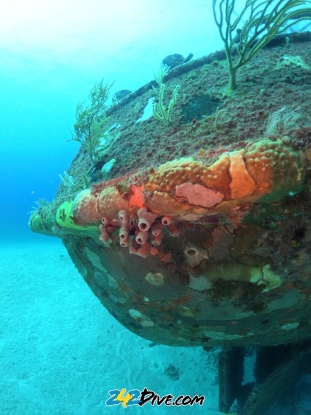 DCIM\100GOPRO\GOPR6599.JPG