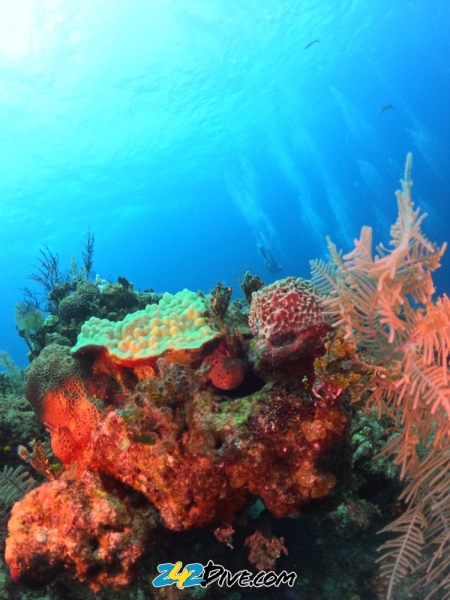 DCIM\100GOPRO\GOPR6648.JPG