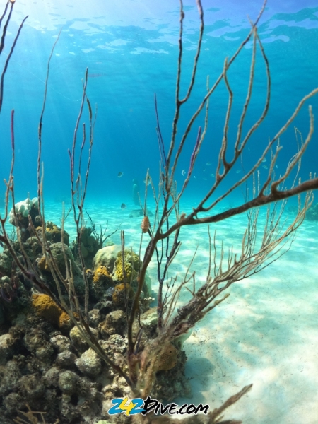 DCIM\100GOPRO\GOPR6763.JPG