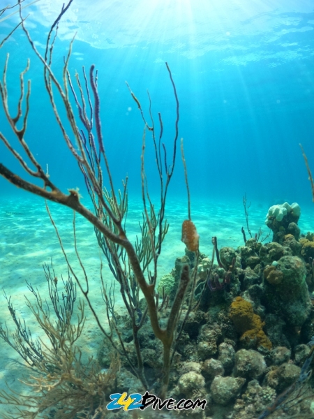 DCIM\100GOPRO\GOPR6766.JPG