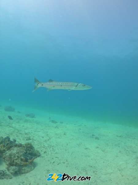 DCIM\100GOPRO\GOPR8776.JPG