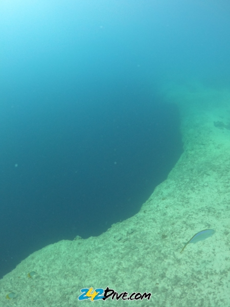 DCIM\100GOPRO\GOPR8897.JPG