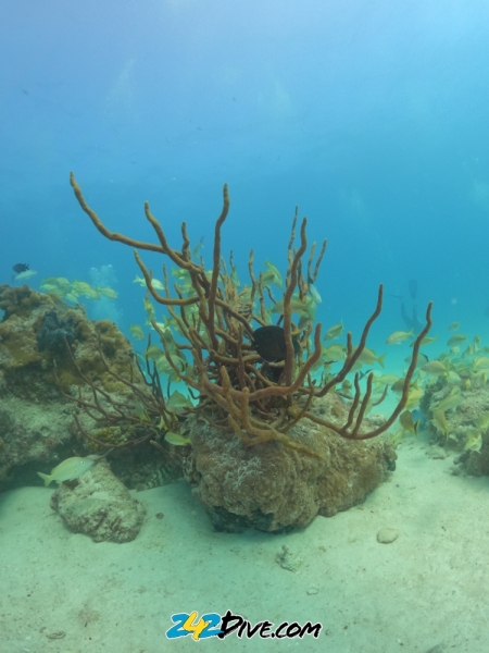DCIM\100GOPRO\GOPR8901.JPG