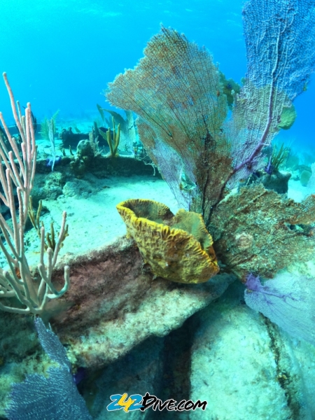 DCIM\100GOPRO\GOPR8954.JPG